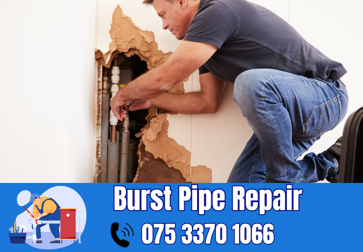 burst pipe repair Rochester 