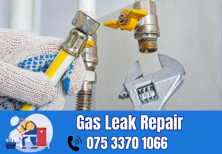 gas leak repair Rochester 