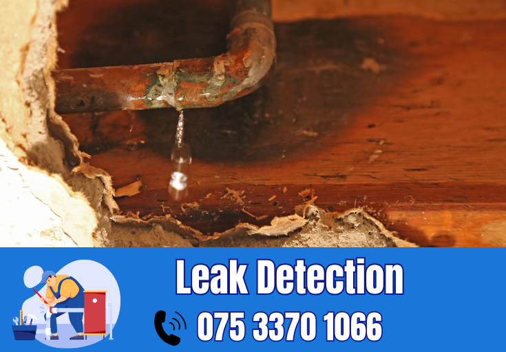 leak detection Rochester 