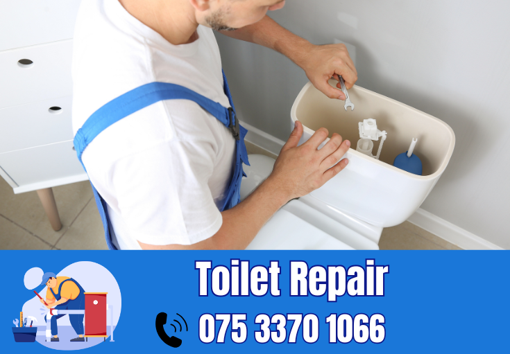 toilet repair Rochester 
